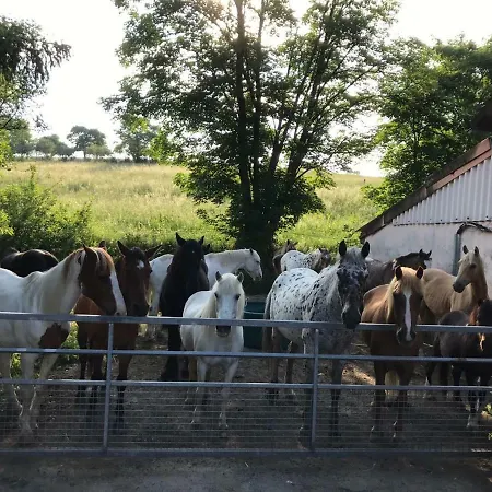 Goedelsteinhof Daire Contwig