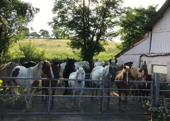 Goedelsteinhof شقة Contwig